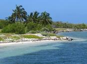 Cuba: giro Cayo Iguana