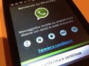 ufficiale: WhatsApp paga!