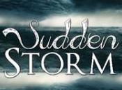 recensione “Sudden Storm (MSA Trilogy #1)” Chiara Cilli Evelyn