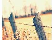 Vivere campagna
