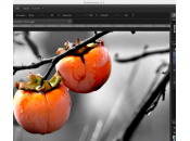 PaintSupreme: Editor fotografico professionale Windows, Linux,