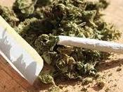 Cannabis droghe Web!