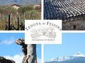 Etna, wine case history