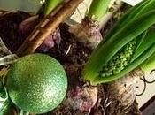 Diario delle Composizioni Natalizie