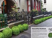 Auckland spazzatura bella!