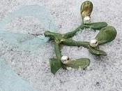 vischio come gioiello