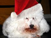 BUON NATALE Tenditrendy