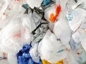 Stop sacchetti plastica. Forse...