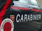 Cade muletto muore