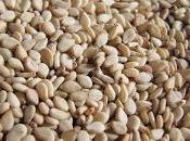 Ricette sesamo: gomasio