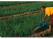 terra africana rubata veri proprietari contadini