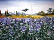 Fiori immaginali tutti ghirlanda…la nostra primavera