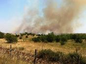 Corato/ Ambiente. Domato Bersaglieri Altamura l’incendio sulla Corato Bisceglie,