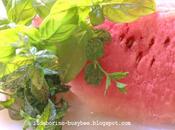 Solleone Bevanda Dissetante Cocomero, Menta Basilico Watermelon, Mint Basil Refreshing Drink