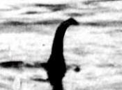 Fotografia della Storia Fotografia. mostro Loch Ness