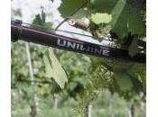 Acqua irrigui: costo subirà aumenti 2013