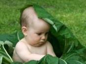 meglio quando bambini nascevano sotto cavoli