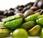 Dieta: caffè verde bacche acai, “bufale” dimagranti