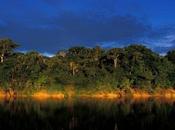 L'Amazzonia alto rischio