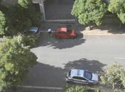 tristi siparietti della nostra Polizia Municipale. Abbiamo volanti Municipio quando lusso mettiamo entrambe occuparsi ramo caduto!?