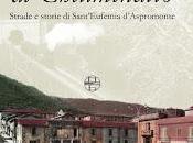 cavallo Chiuminatto alla pineta comunale