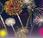 Ferragosto 2013 Lago Maggiore Fiori Fuoco, Campionato Mondo Fuochi d’artificio