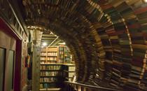 Dietro ogni uomo, libro
