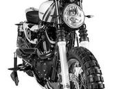 Shaw Martini Harley