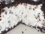 Zuccotto ricotta, cocco cioccolato