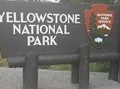 Yellowstone atto primo