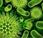 Probiotici batteri amici della nostra salute