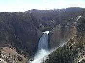 Yellowstone atto secondo