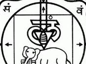 L'elefante bianco, primo chakra