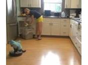 gatto squalo passa l’aspirapolvere cucina (Video)