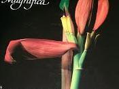 Botanica magnifica singer jaca book