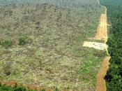 deserto dello Zambia