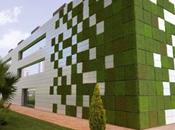 Giardino verticale, ecco perchè sono importanti gestione manutenzione
