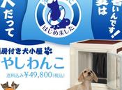 Giappone arriva primo frigo cani: solo rinfrescarli [Foto]