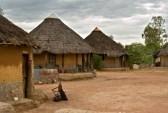 Malawi /Crisi agricola rischio fame
