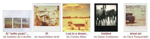 Foto della settimana