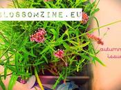 Blossom zine secondo numero