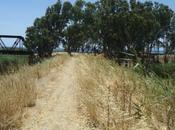 C’era Ferrovia
