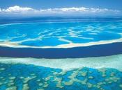 Fermiamo progetto Aurizon salviamo Grande Barriera Corallina d'Australia