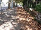 utilizza bicicletta deve essere umiliato. Ecco stato della ciclabile alla Magliana