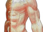 Ginnastica schiena, esercizi facili prevenire attenuare dolore