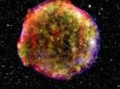 cielo d’Agosto Nova Dephinus 2013