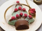 Abete gelato alla menta.