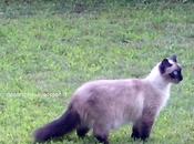 prime esplorazioni Gina collarino ricicloso