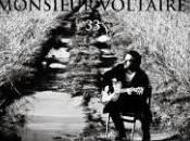 Monsieur Voltaire live