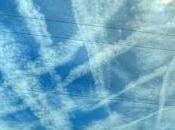 video della conferenza Agordo vaccini scie chimiche piccola digressione sulle profezie Hopi delle "ragnatele cielo")